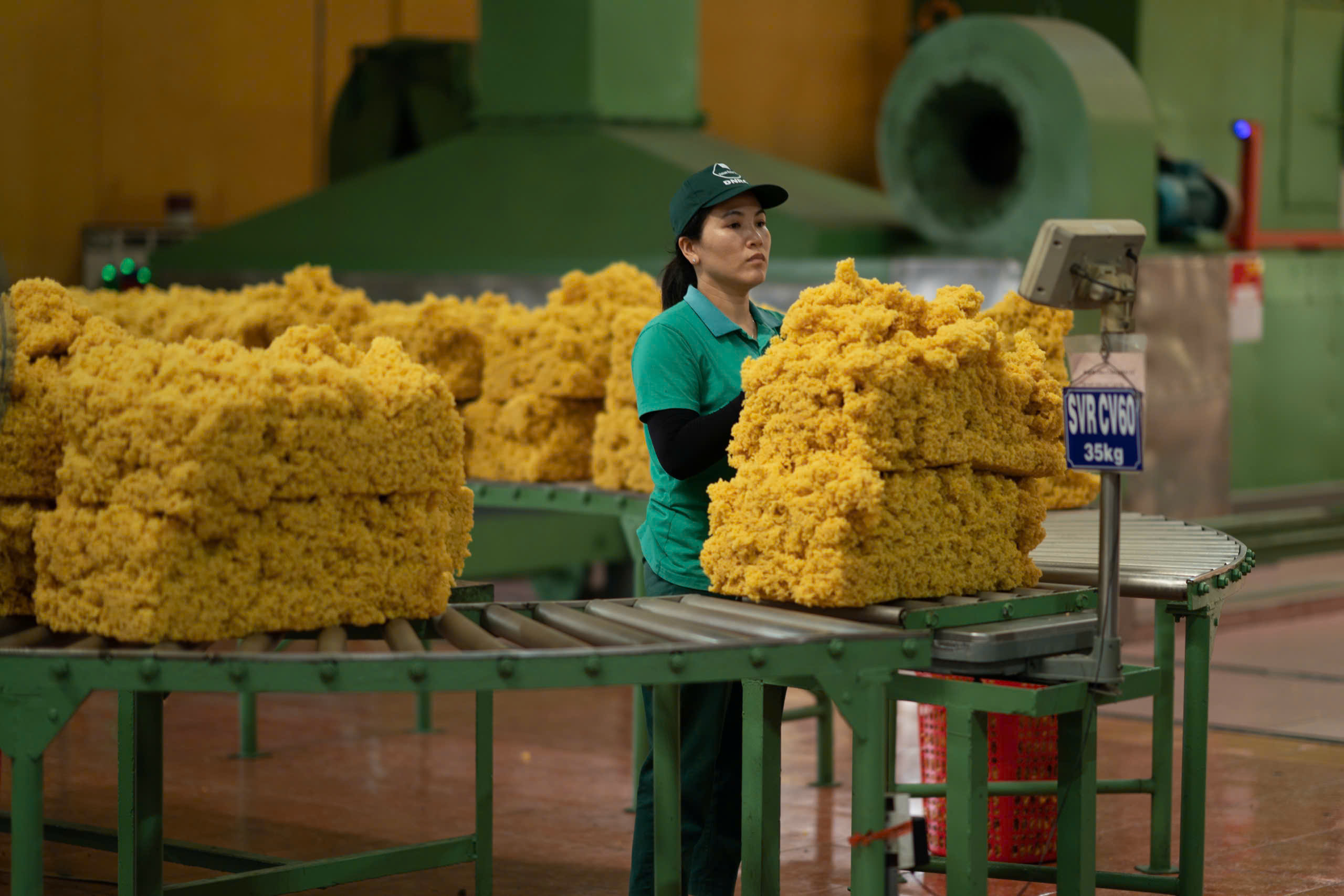 Banner website Soha Tradings