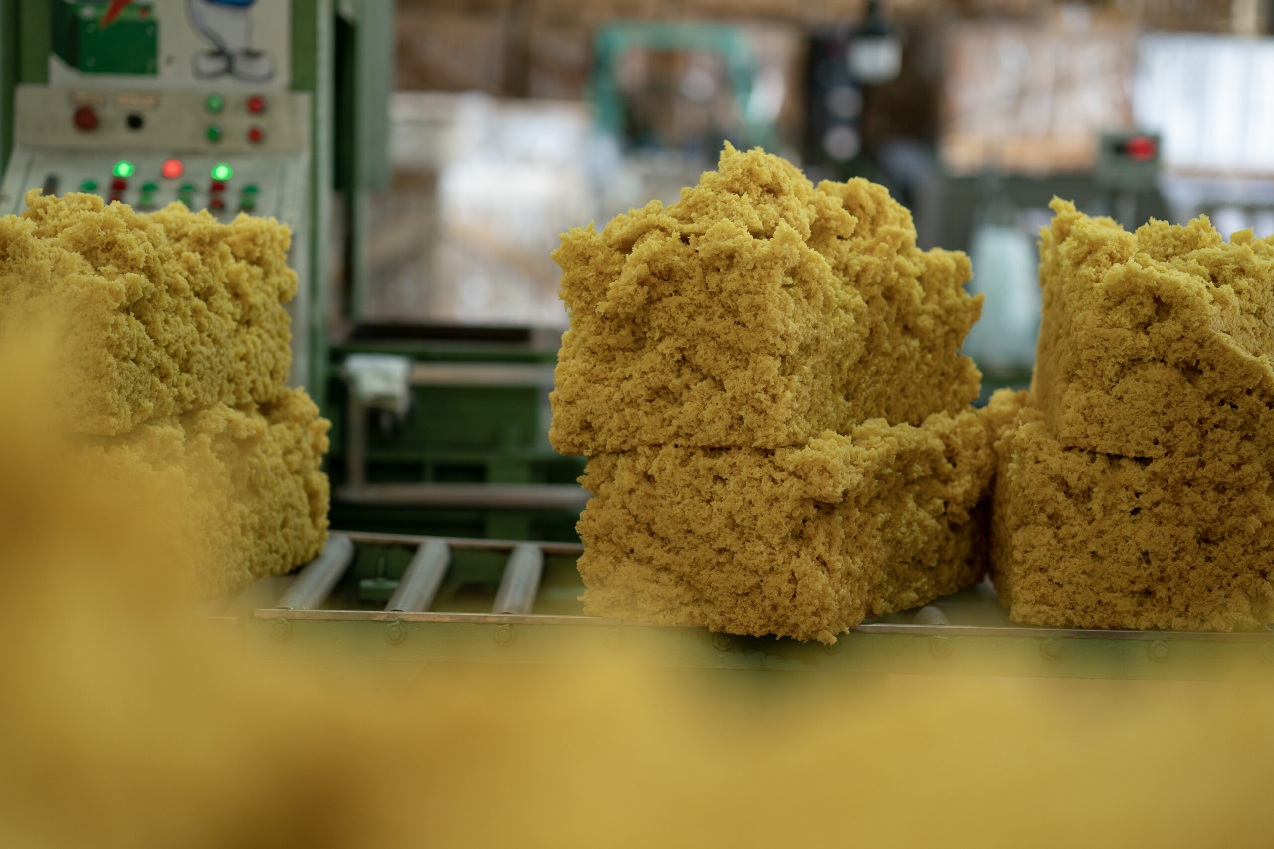 Ảnh giới thiệu 02